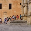 DSC_2288_edited-2