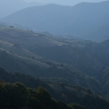 DSC_5137_edited-2
