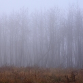 DSC_5265_edited-2