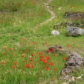 DSC_0291_edited-2
