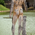 DSC_0237_edited-2