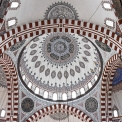DSC_6359_edited-3