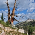 Tetons-August-2010_5544_ed4