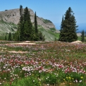 Tetons-August-2010_6026_edited-3