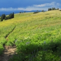 Tetons-August-2010_6100_edited-2