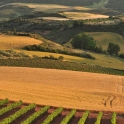 2011 06 03_3182_edited-2