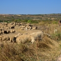 DSC_3770_edited-2