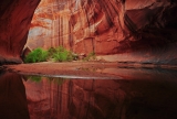 Escalante Wilderness, UT