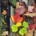 1_DSC_0010_edited-3