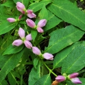1_DSC_0036_edited-2
