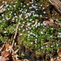 1_LGR-April-18-2010_2505_edited-4