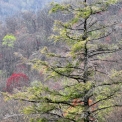 2011 04 09_0476_edited-3