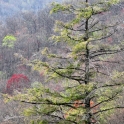 2011 04 09_0476_edited-3