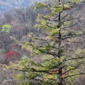 2011-04-09_0476_edited-4