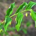 2011 04 17_2143_edited-3