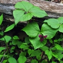 2011-05-01_2268_edited-2