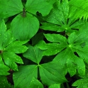 2011-05-14_2416_edited-2