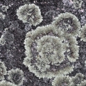 2011 05 14_2499_edited-3