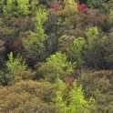 2013-04-20_6719_edited-2