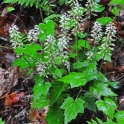 2013-05-18_7237_edited-2
