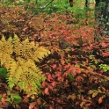 2015 10 01_0887_edited-2