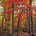 2015 10 24_1173_edited-2
