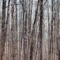 2015-11-28_1322_edited-3