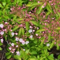 2_DSC_0026_edited-2