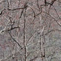 DSC_0010_edited-2