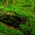 DSC_0022_edited-2