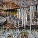 DSC_0032_edited-2