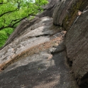 DSC_0032_edited-3