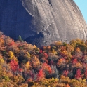 DSC_0037_edited-5