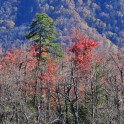 DSC_0037_edited-6