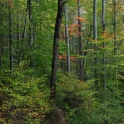DSC_0043_edited-2