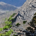 DSC_0053_edited-2