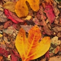 DSC_0060_edited-2