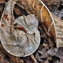 DSC_0069_edited-2