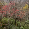 DSC_0312_edited-2