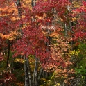 DSC_1678_edited-2