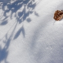 DSC_5678_edited-2