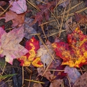 DSC_6172_edited-2
