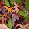 DSC_6175_edited-2