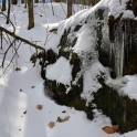 DSC_6718_edited-2