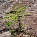 LGR-April-18-2010_2487_edited-5