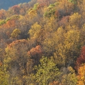 LGR-Oct-29-2010_0321_edited-2