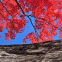 dsc_0016_edited-2