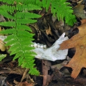 dsc_0021_edited-2