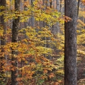 dsc_0037_edited-2