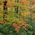 dsc_0090_edited-2